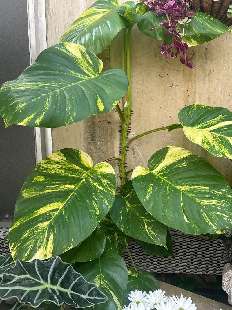 View of Lena Meijer Tropical Conservatory in Grand Rapids, MI