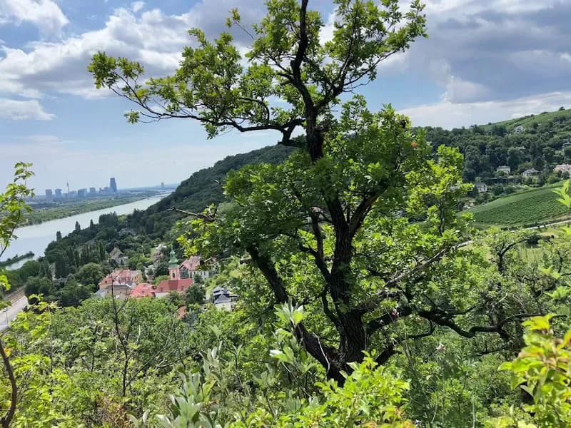 View of Leopoldsberg in Klosterneuburg, VIE