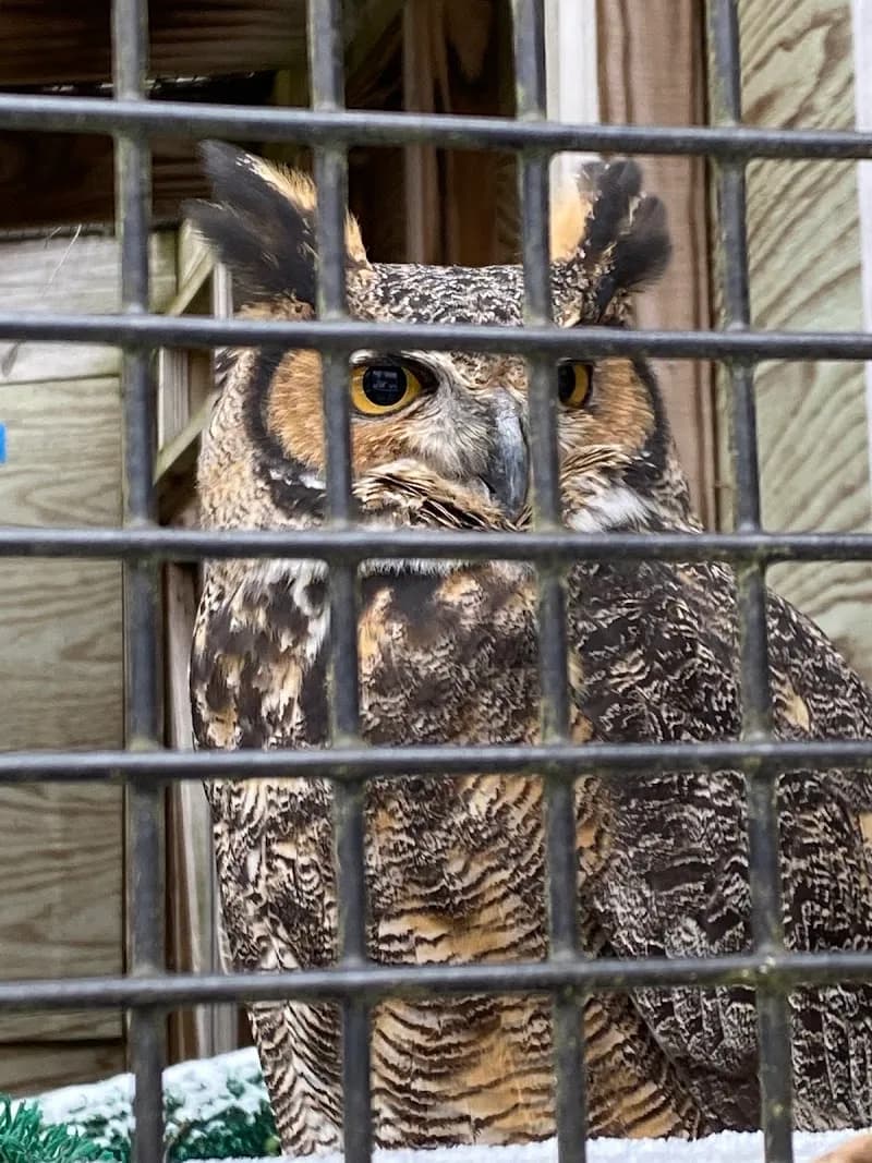 View of Leslie Science & Nature Center in Ann Arbor, MI