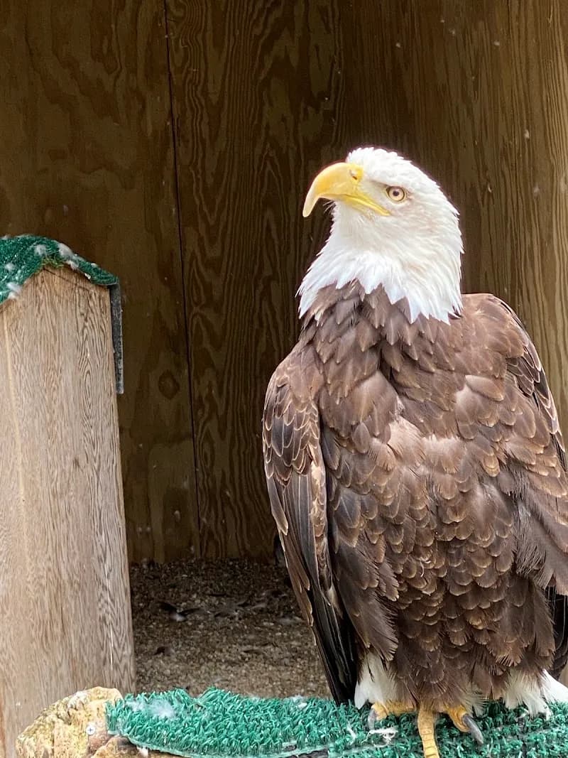 View of Leslie Science & Nature Center in Ann Arbor, MI