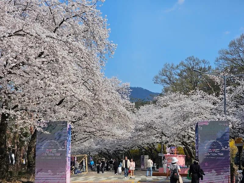 Let's Run Park Seoul park in Gwacheon, GG
