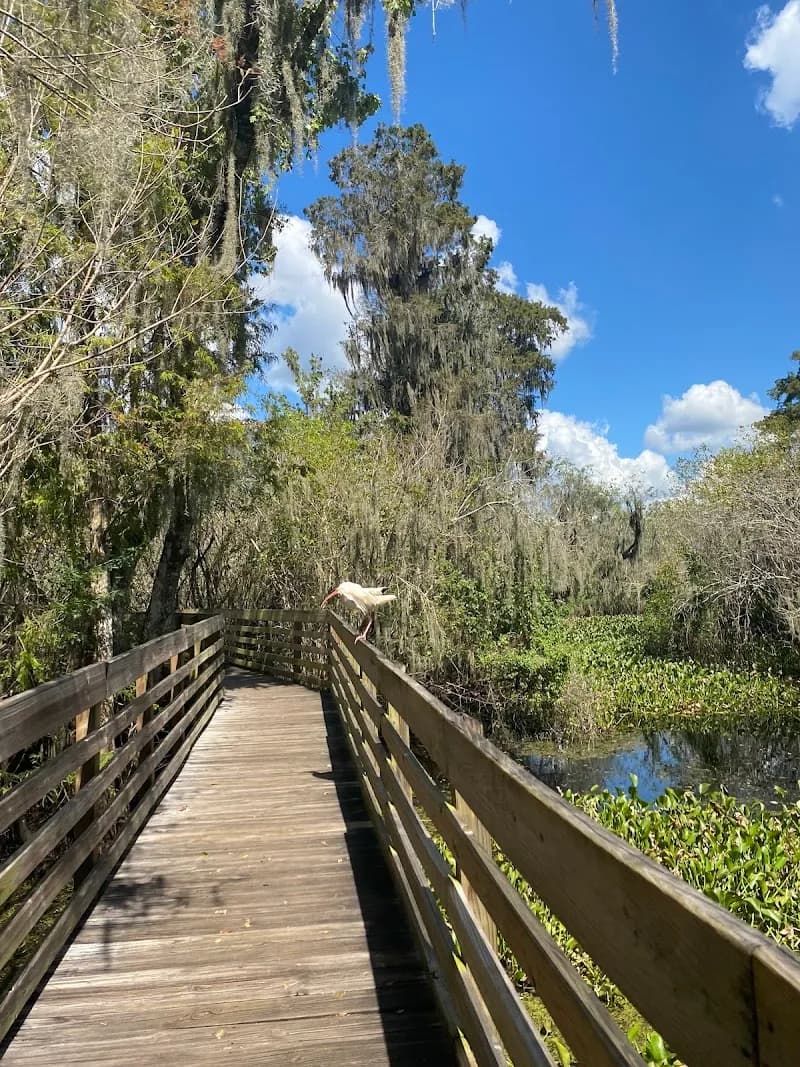 View of Lettuce Lake Park in Tampa, FL