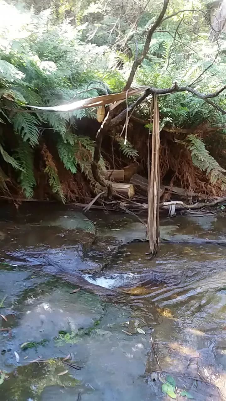 View of Leura Park in Blue Mountains, NSW