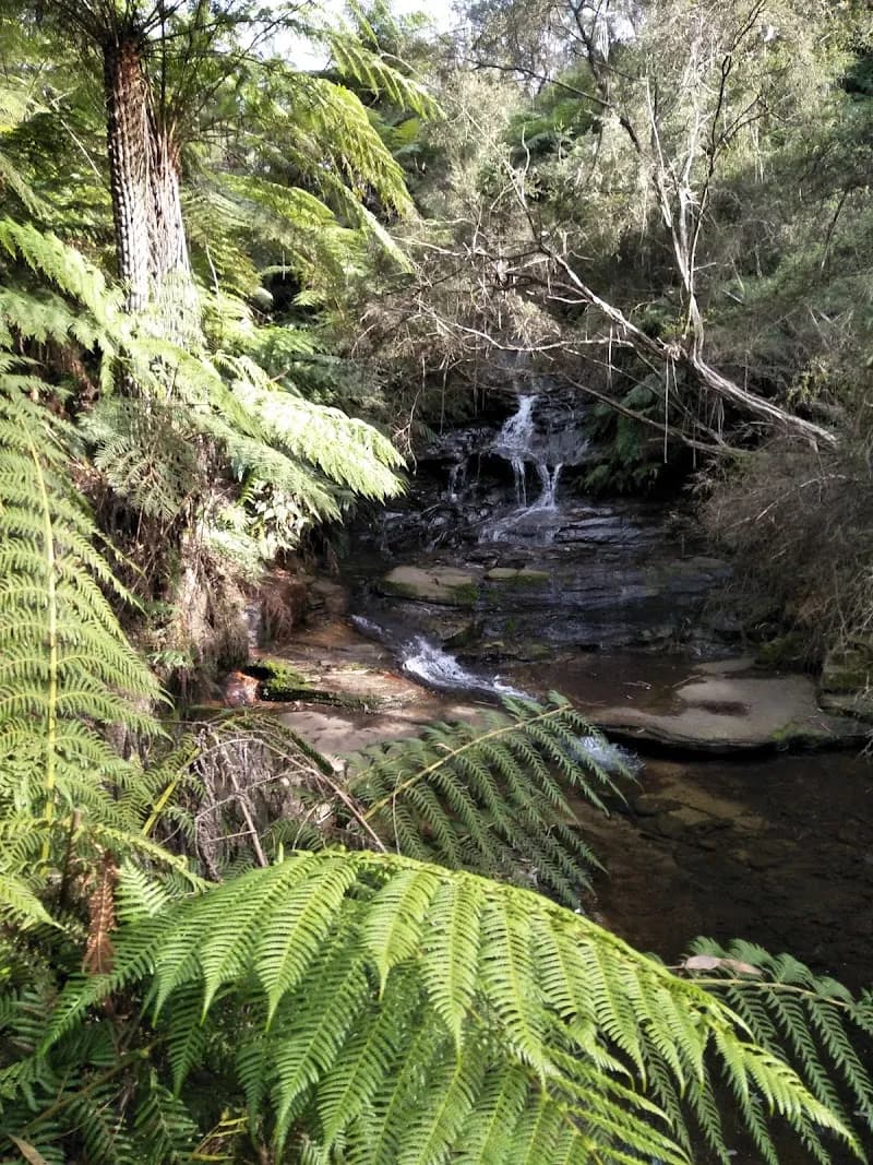 View of Leura Park in Blue Mountains, NSW