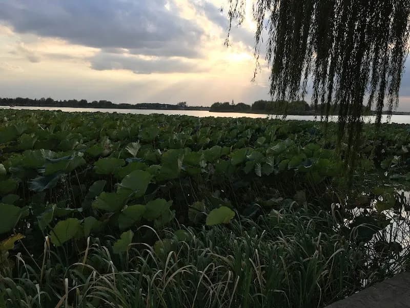 View of Liantang Lake Scenic Area in Qingpu, SH