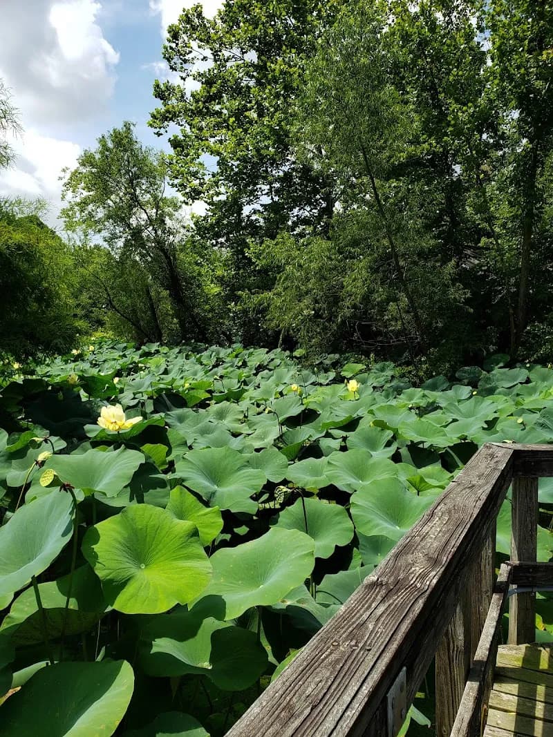 View of Lichterman Nature Center in Memphis, TN