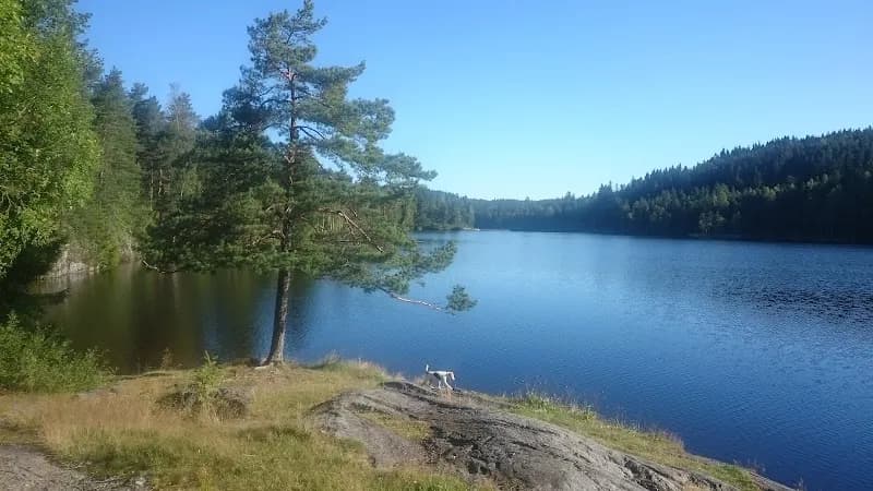 Lillomarka arena ski resort in Lillomarka, Oslo