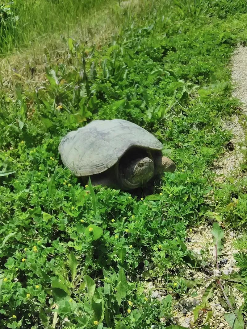 View of Lilly Lane Nature Preserve in Mequon, WI