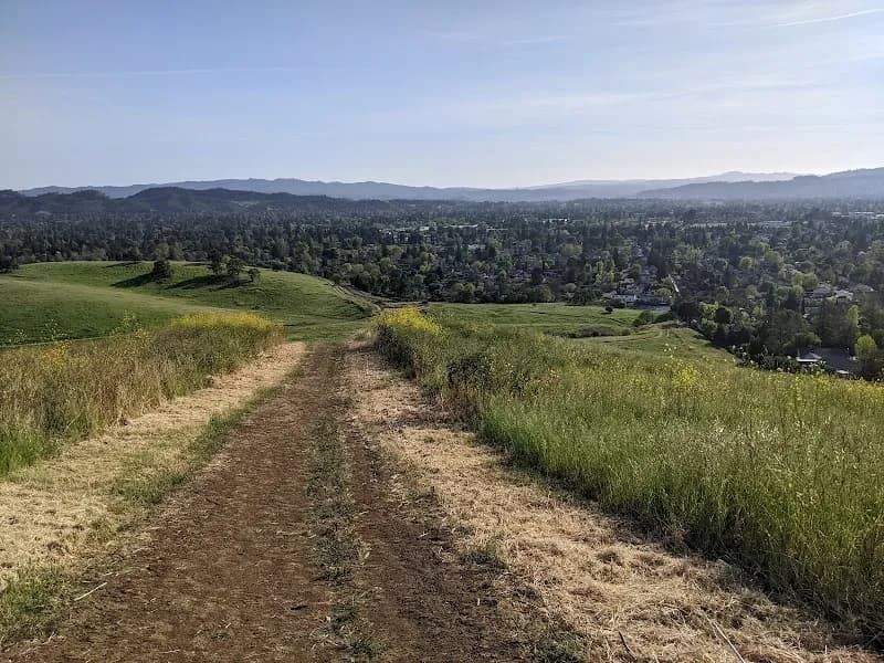 Lime Ridge Open Space park in Concord, CA