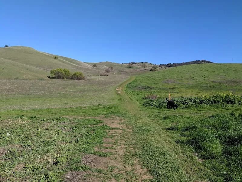 View of Lime Ridge Open Space in Concord, CA
