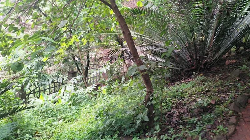 View of Limuru Botanical Gardens (accessible from Muthaiga) in Muthaiga, Nairobi