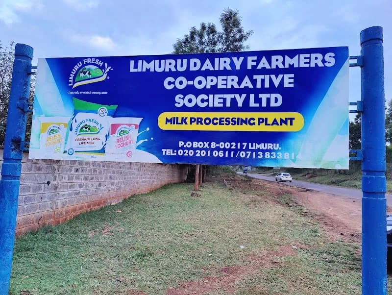 Limuru Dairy Farm Experience farm in Limuru, Nairobi