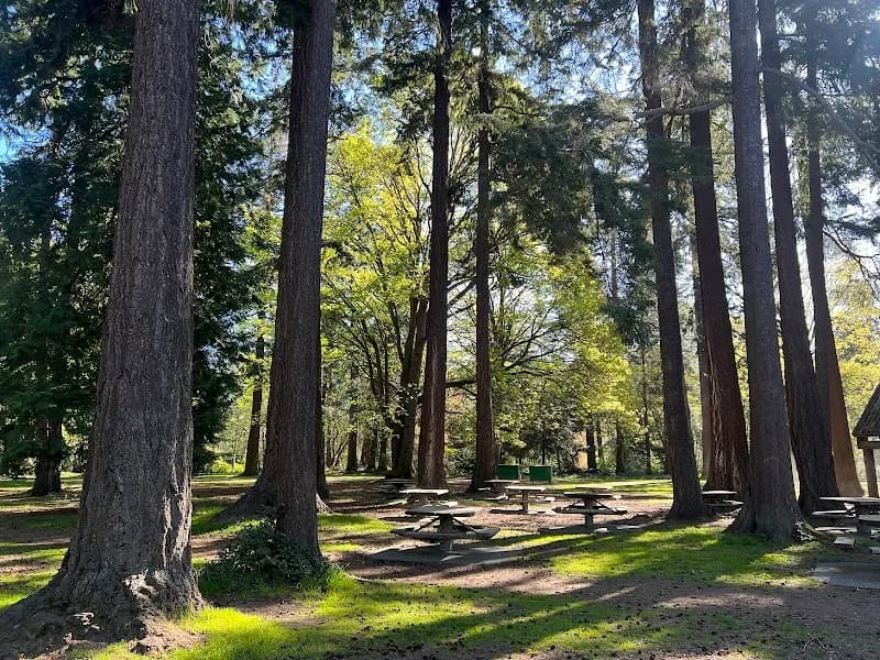 View of Lincoln Park in West Seattle, WA