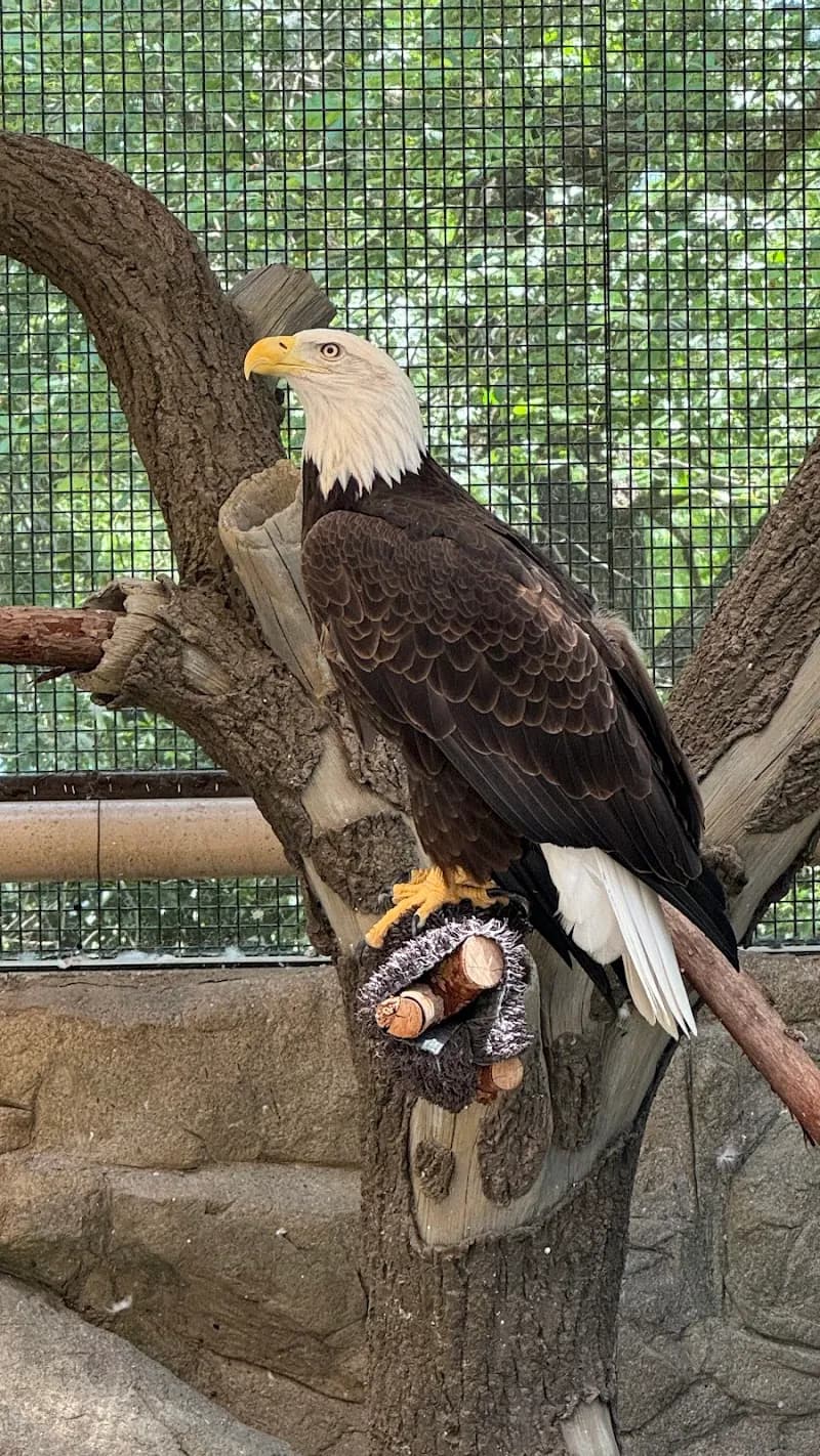 View of Lindsay Wildlife Experience in Danville, CA