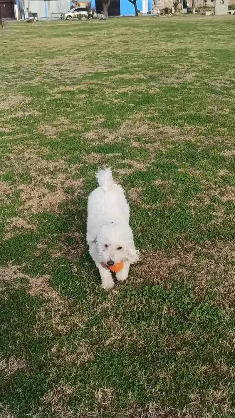 View of Lineal Quilmes-Don Bosco Park in Quilmes, BA