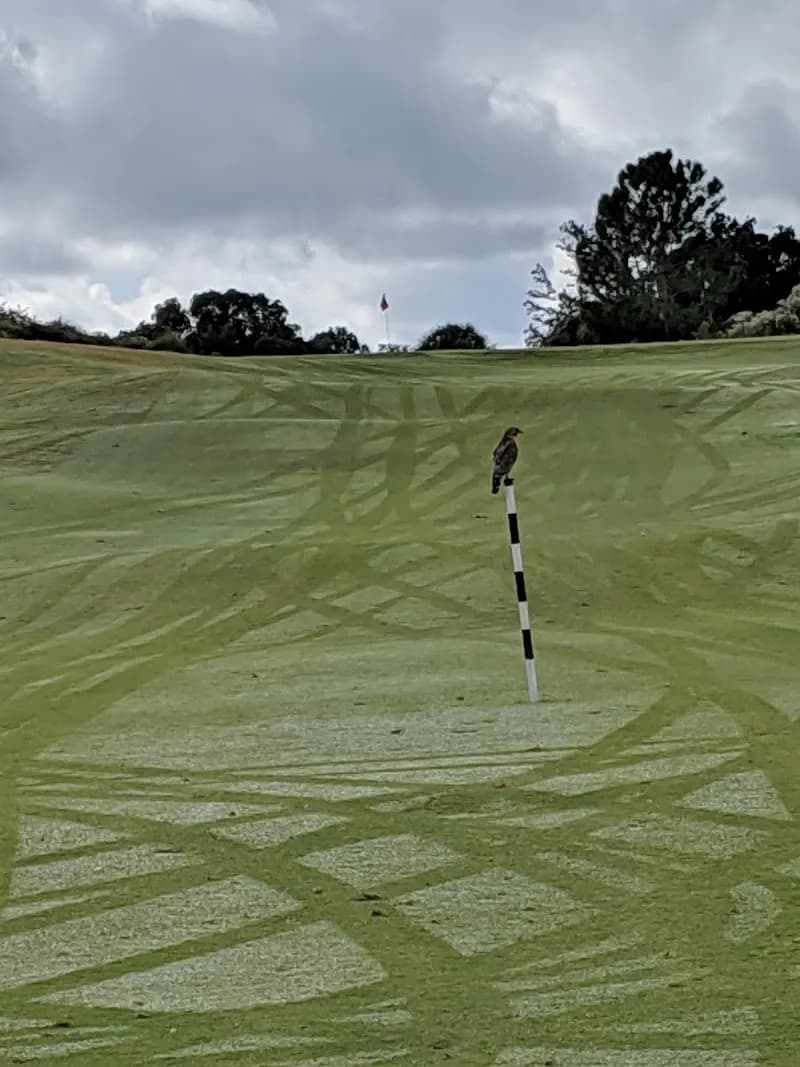 View of Links of Lake Mary in Lake Mary, FL