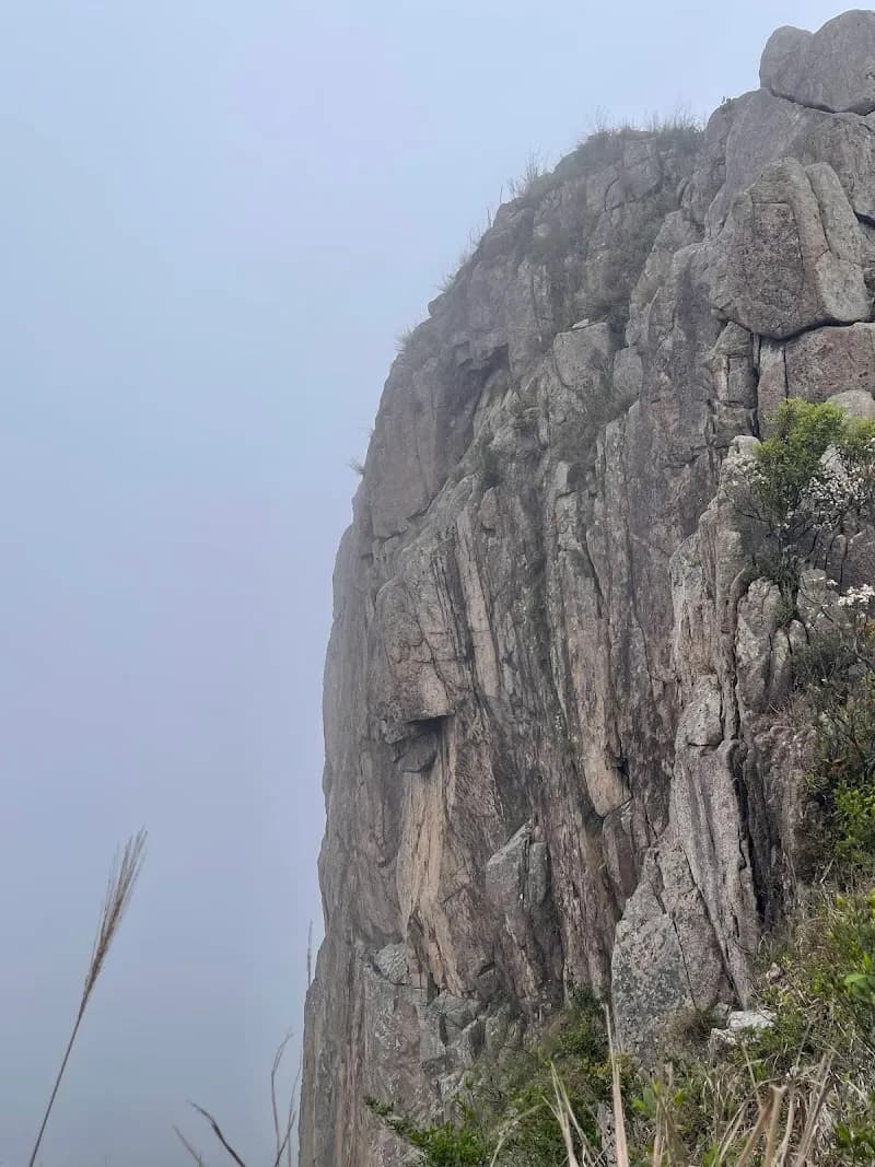 View of Lion Rock Country Park in Sha Tin, HK