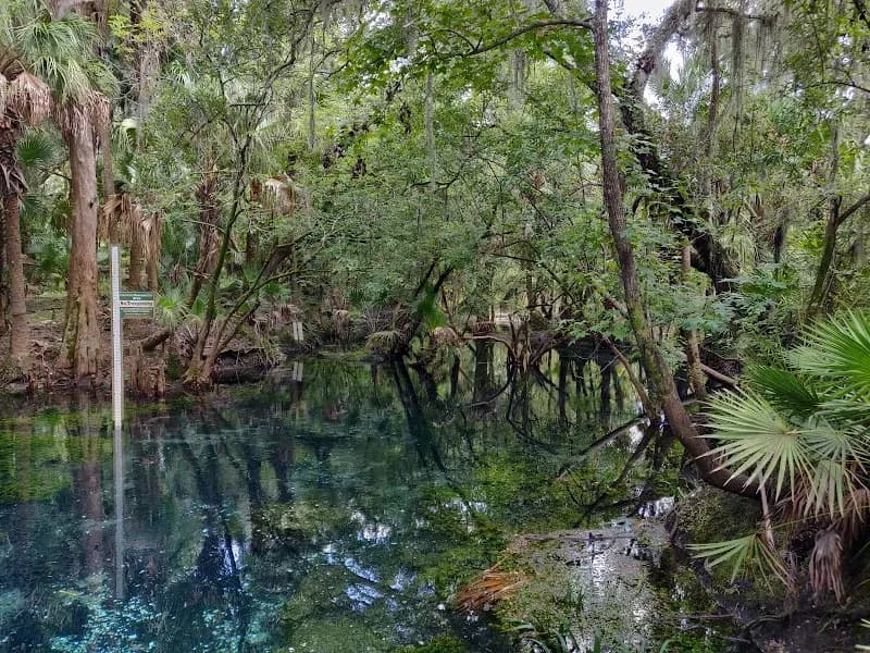 View of Lithia Springs Park in Valrico, FL