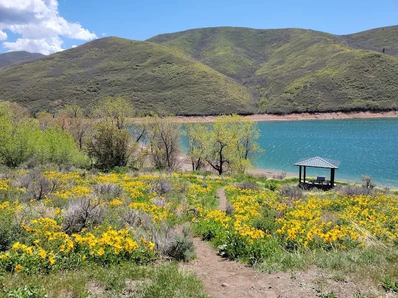 View of Little Dell Recreation Area in Cottonwood Heights, UT