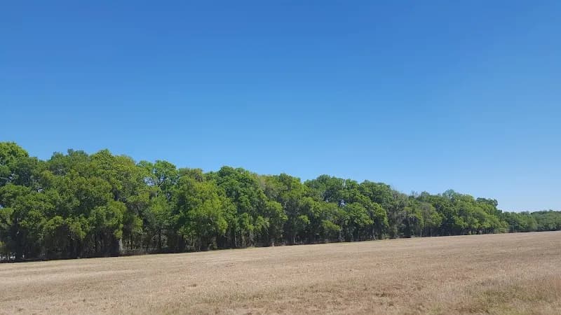 View of Little Everglades Ranch in Oviedo, FL