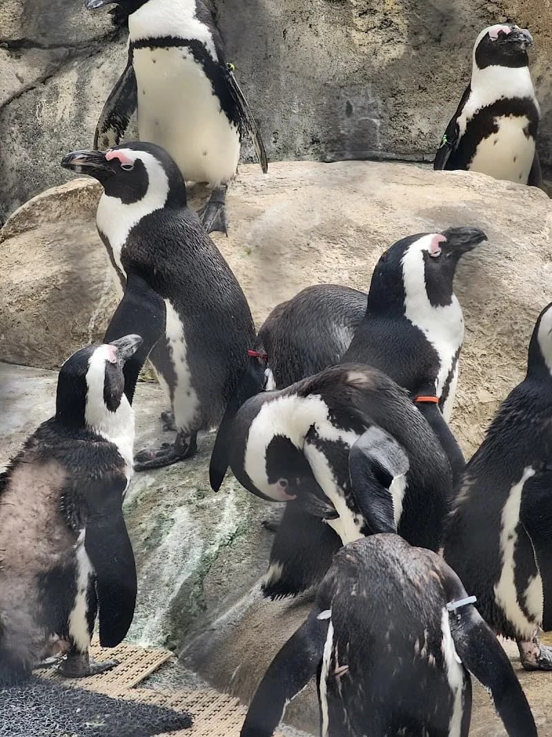 View of Little Rock Zoo in Little Rock, AR