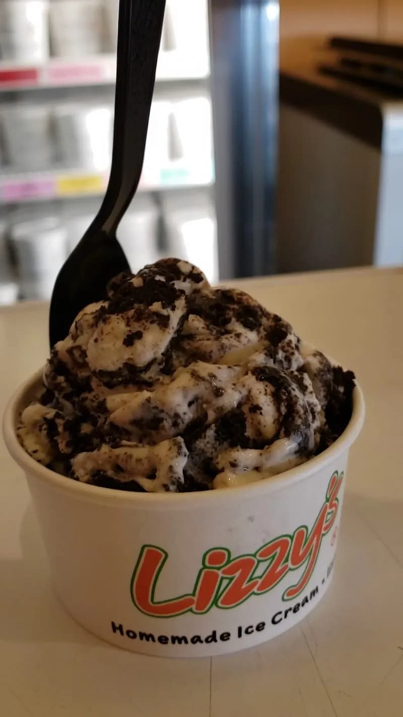 View of Lizzy's Homemade Ice Cream in Waltham, MA