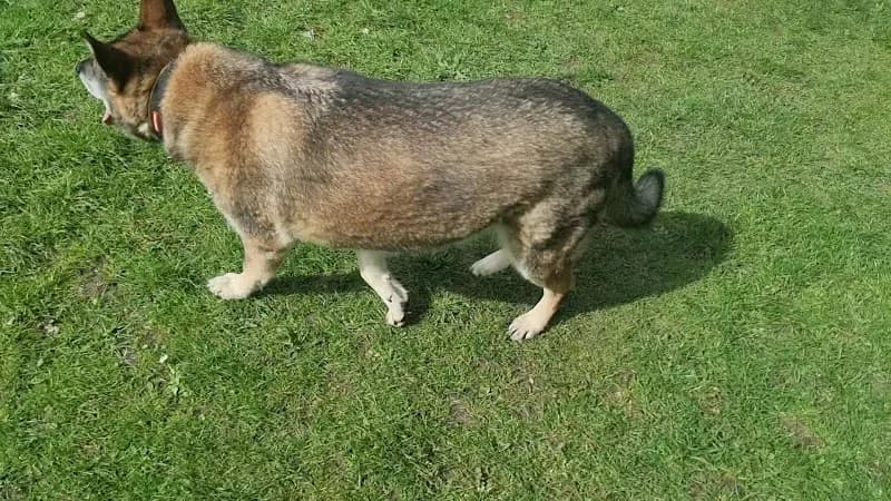 View of Lloyd Park in Croydon, London