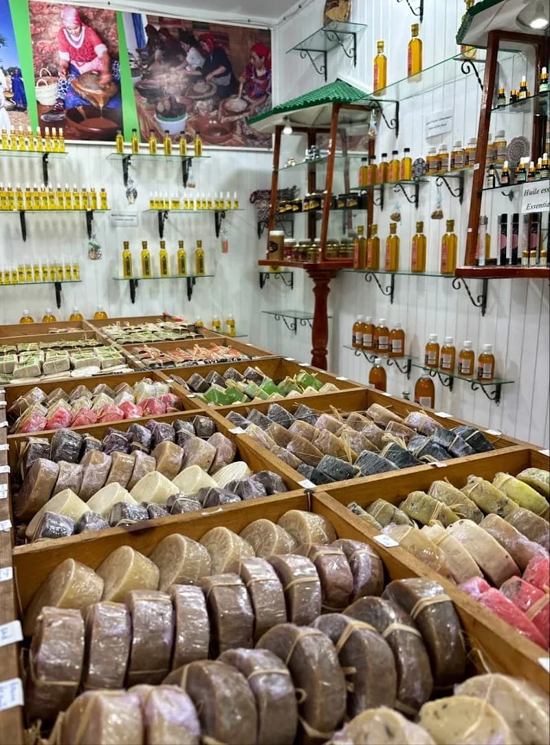 View of Local Argan Oil Cooperatives in Essaouira, MS