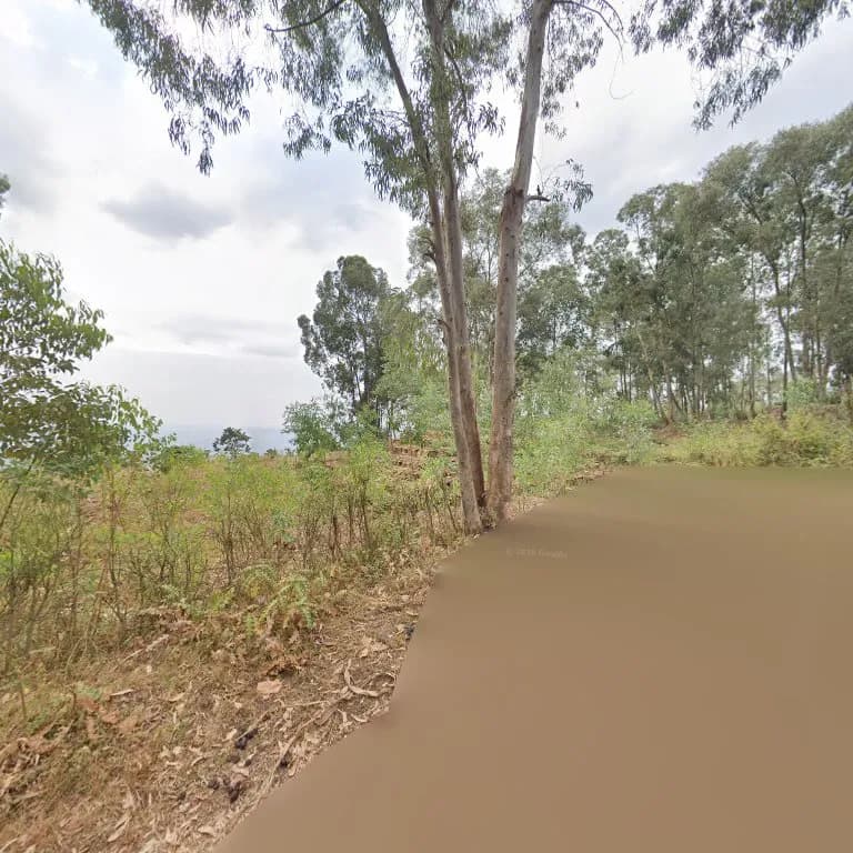 Local Farmers' Market at Muhanga attraction in Muhanga, Kigali