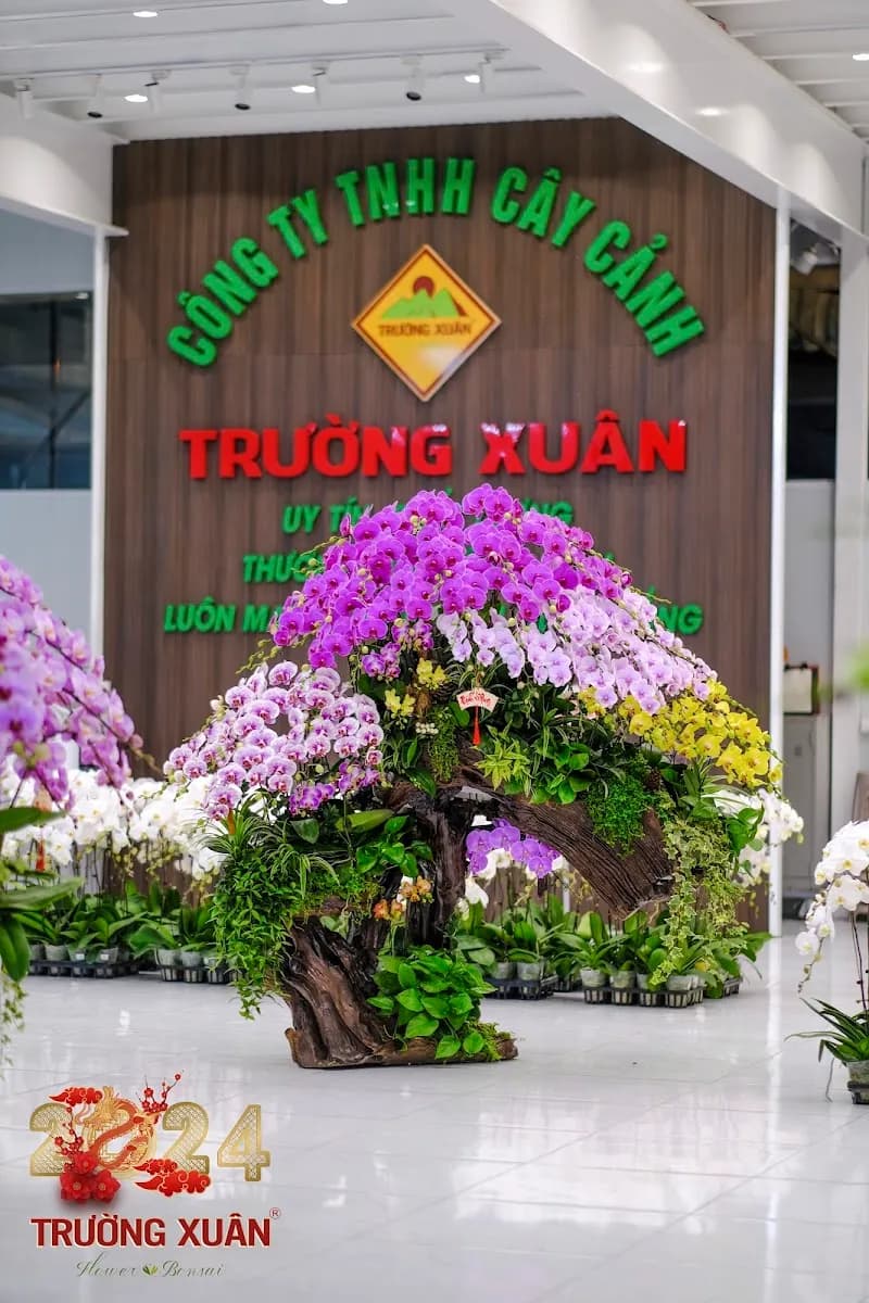 View of Local Flower and Plant Markets in Tây Hồ, HN