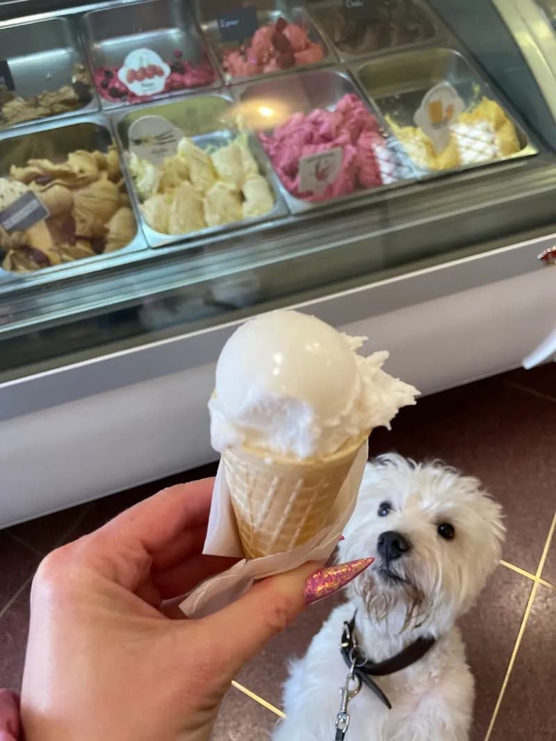 View of Local Ice Cream Shops (Fagyizó) in Szentendre, Budapest