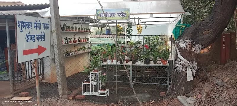 Local Mango Orchards farm in Khalapur, MH