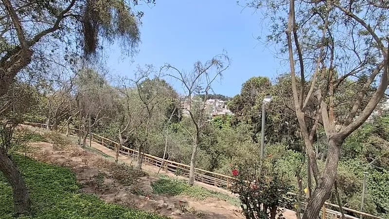 View of Loma Amarilla Ecological Park in Chorrillos, Lima