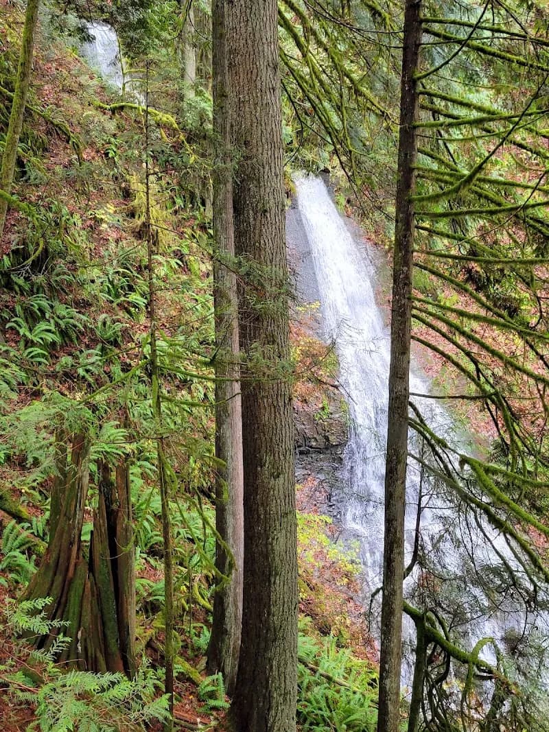 Lookout Mountain Preserve park in Bellingham, WA