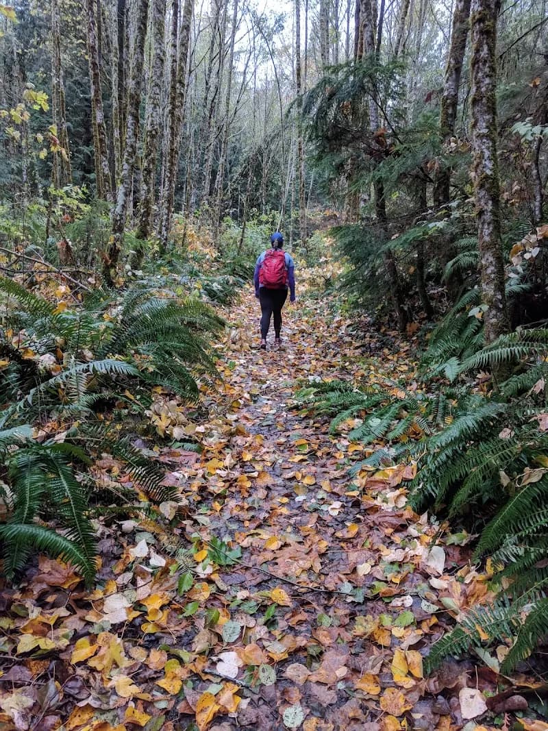 View of Lookout Mountain Preserve in Bellingham, WA