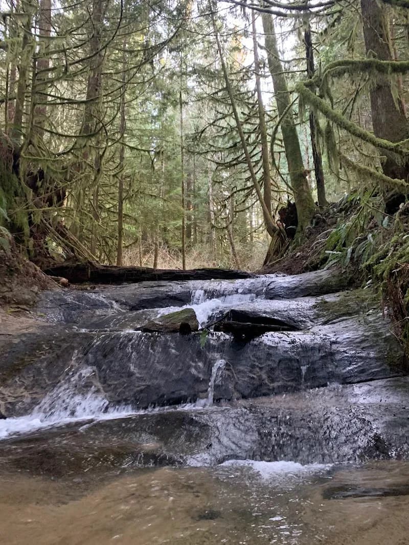 View of Lookout Mountain Preserve in Bellingham, WA