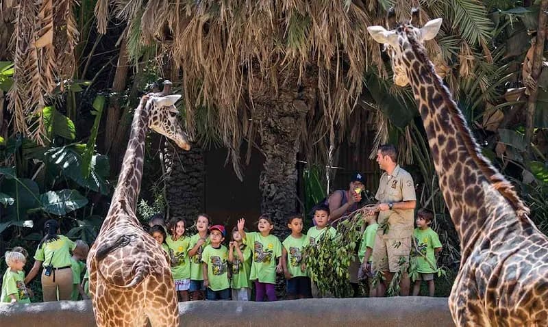View of Los Angeles Zoo in Los Angeles, CA