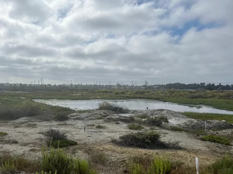 Los Cerritos Wetlands nature preserve in Long Beach, CA