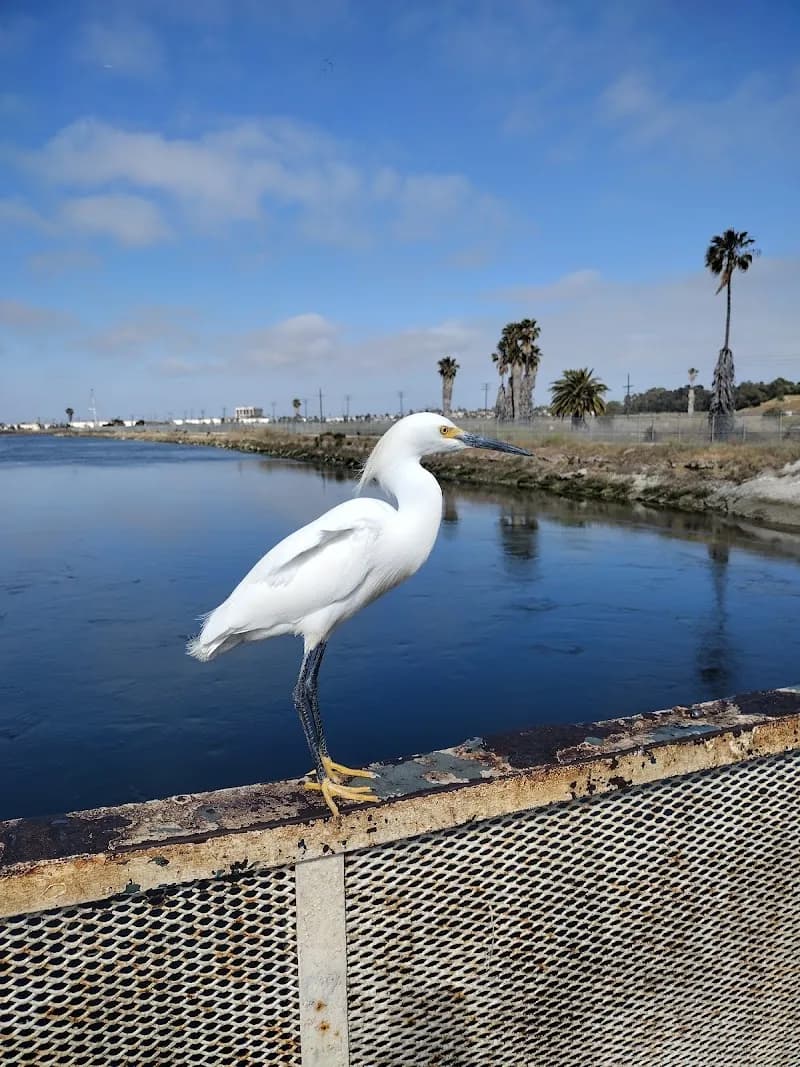 View of Los Cerritos Wetlands in Long Beach, CA