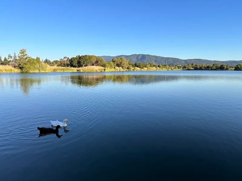 Los Gatos Creek County Park park in Campbell, CA