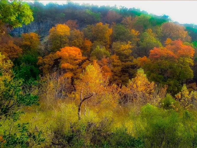 Lost Maples State Natural Area state park in Leon Valley, TX