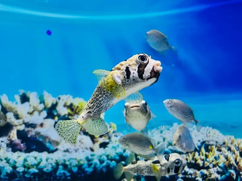 View of Lotte World Aquarium Hà Nội in Hanoi, HN