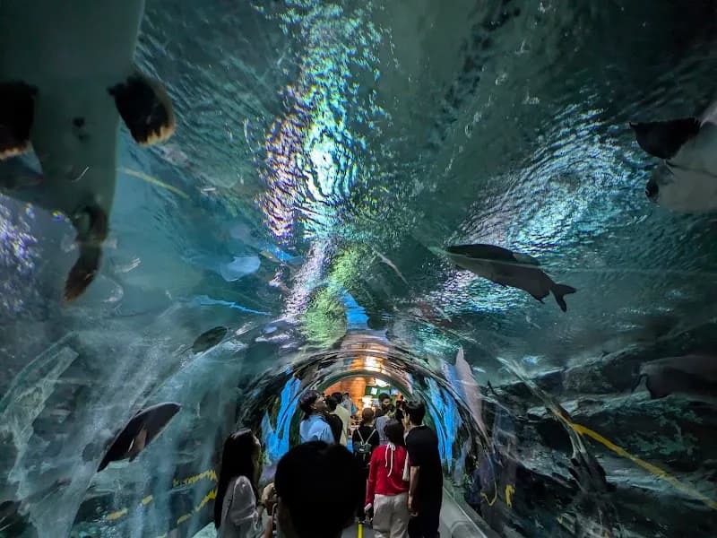 View of LOTTE WORLD AQUARIUM in Songpa, SE