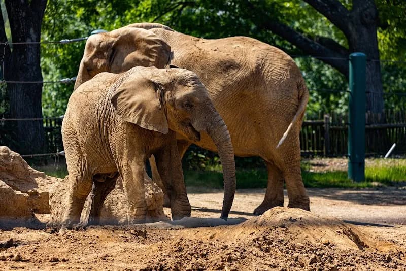 View of Louisville Zoo in Louisville, KY