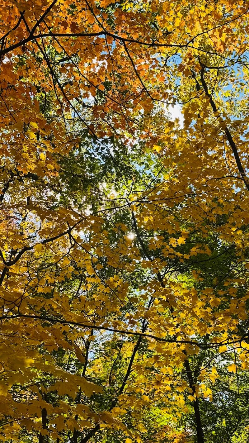 View of Lower Shaker Lake in Shaker Heights, OH