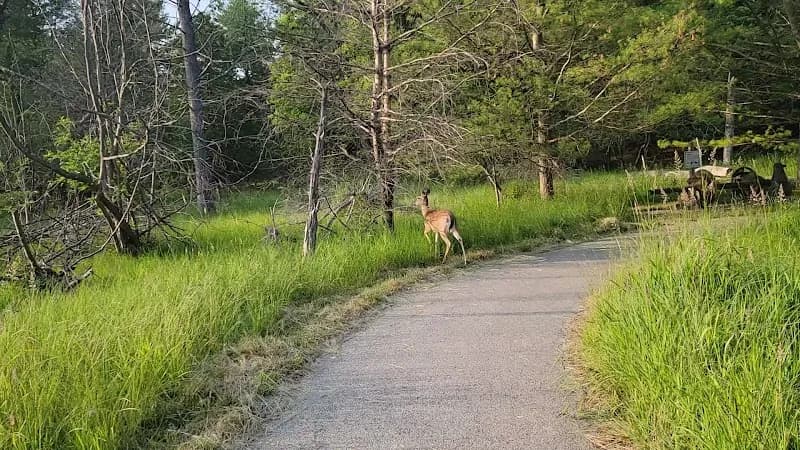 View of Ludington State Park Beach in Ludington, MI