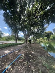 View of Lumpini Park Public Library in Lumphini, BKK