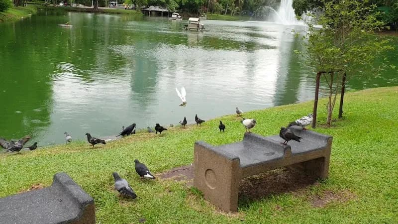 View of Lumpini Park (Sukhumvit Area Access) in Sukhumvit, BKK