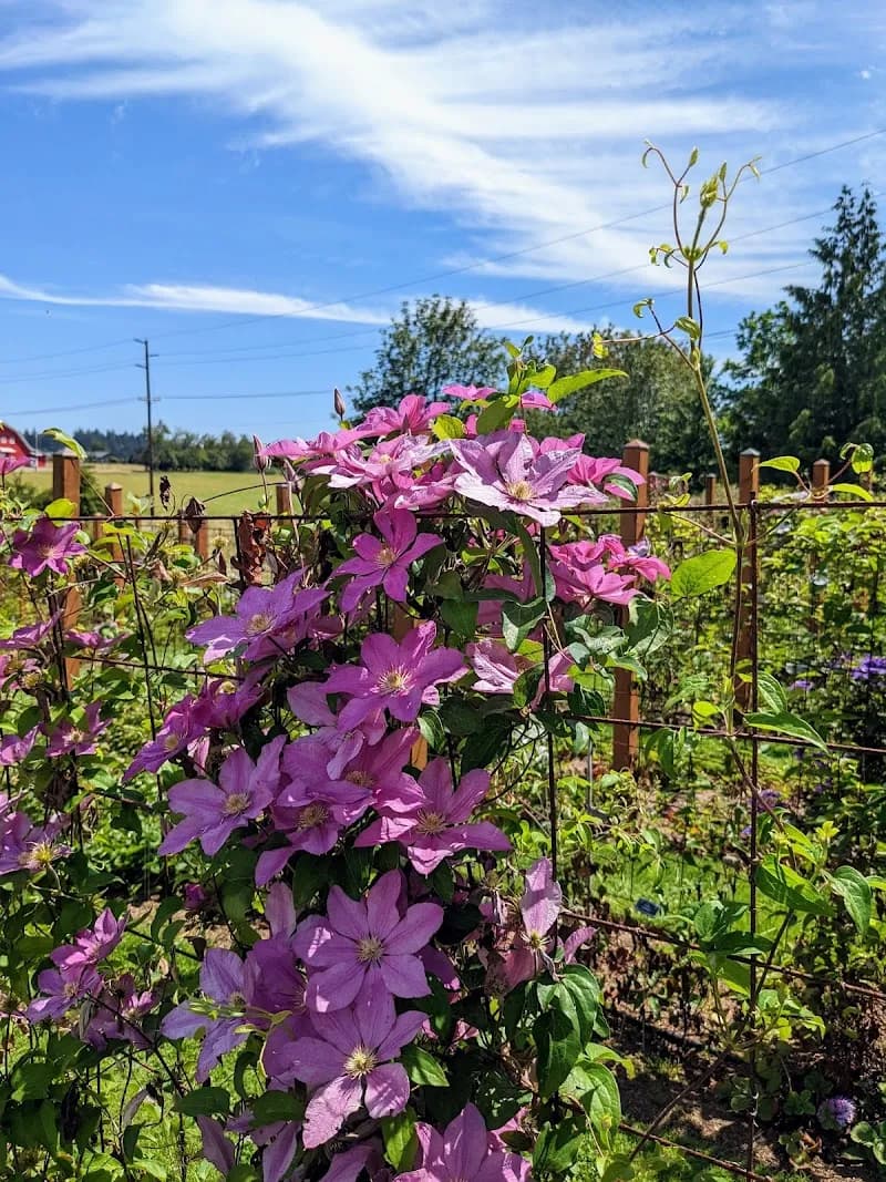 View of Luscher Farm City Park in Lake Oswego, OR