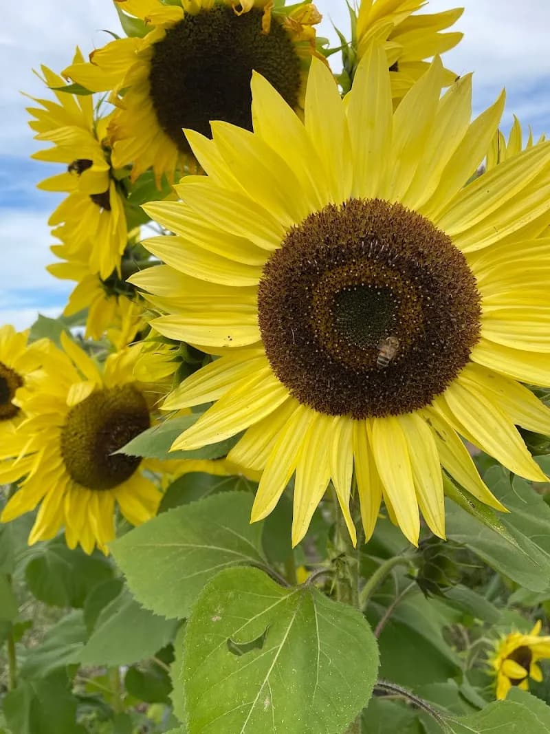 View of Luscher Farm City Park in Lake Oswego, OR
